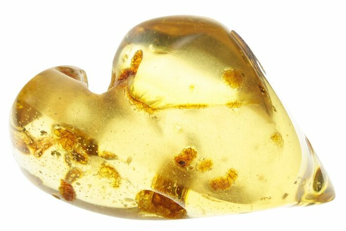 Polished Colombian Copal ( g) - Contains Termites & Enhydro! #355378